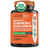PLANTFUL RESEARCH Organic Turmeric Curcumin Tablets front view