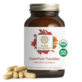 PURE SYNERGY Fucoidan Supplement 60 capsules front view