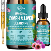 ReviNutra Lymphatic Drops bottle front view
