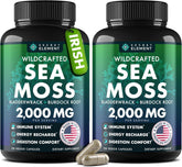 Secret Element Wildcrafted Sea Moss Capsules front view