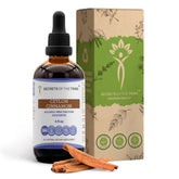 Secrets of the Tribe Ceylon Cinnamon Tincture front view 272g