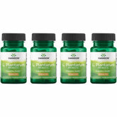 Swanson L. Plantarum Probiotic 100g front view