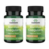 Swanson Probiotics Bacillus Coagulans 6 Billion CFU Capsules front view