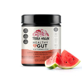 TERRA ORIGIN Healthy Gut Powder 308g front view with packaging