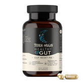 TERRA ORIGIN Healthy Gut Powder 77g front view