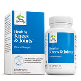 Terry Naturally AHCC Active Hexose Correlated Compound 14g front view