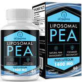 Ulmubra Liposomal PEA Supplement front view with softgel capsules
