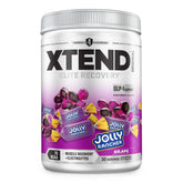 Xtend Original BCAAs 420g front view with packaging