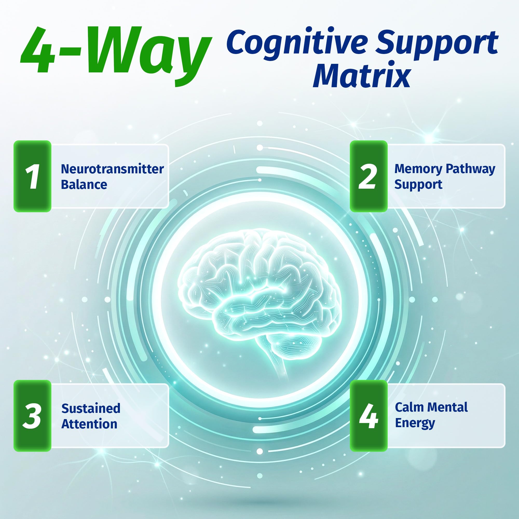1 Body Brain Supplement lifestyle scene with a study setup