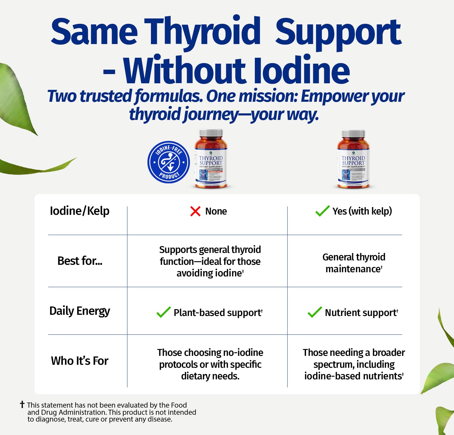 1 Body Thyroid Support Supplement ingredients list