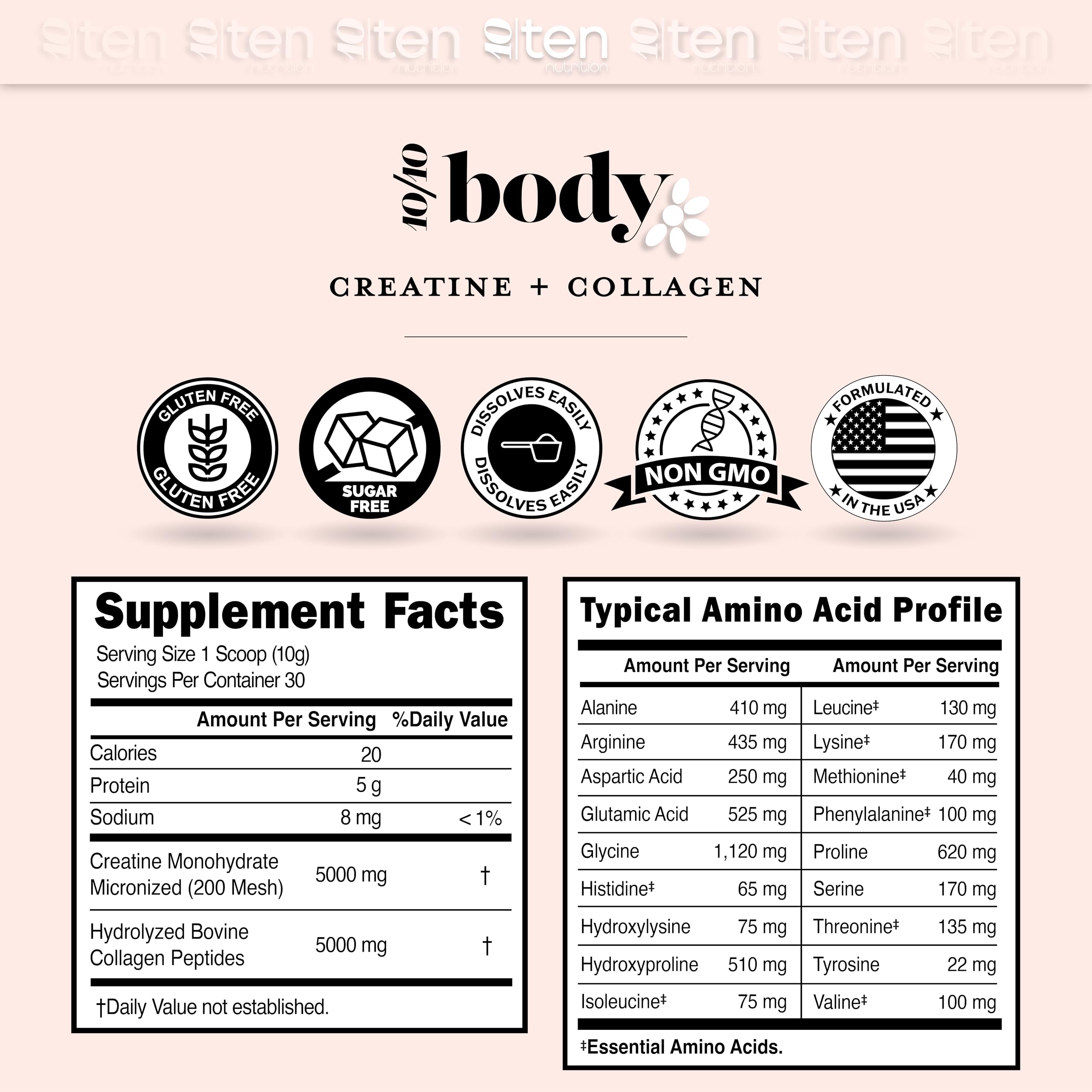 10Ten Nutrition Creatine + Collagen Powder 300g with fitness gear
