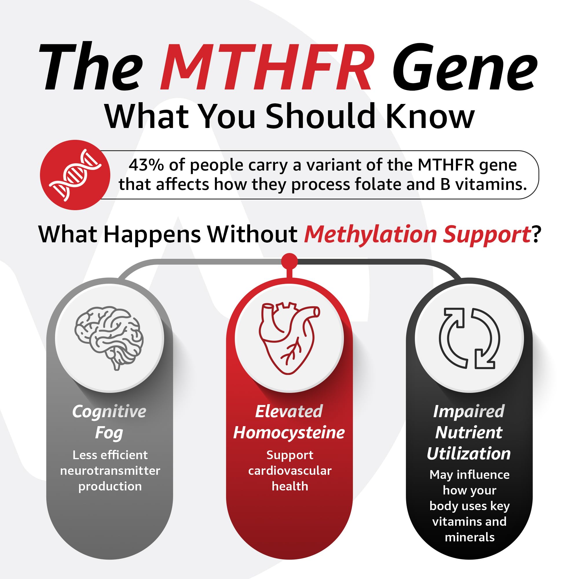 10X Health System TMG Supplement in a health supplement display