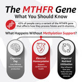 10X Health System TMG Supplement in a health supplement display