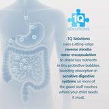 1Q Solutions daily wellness Liquid Supplement for Kids dropper with liquid