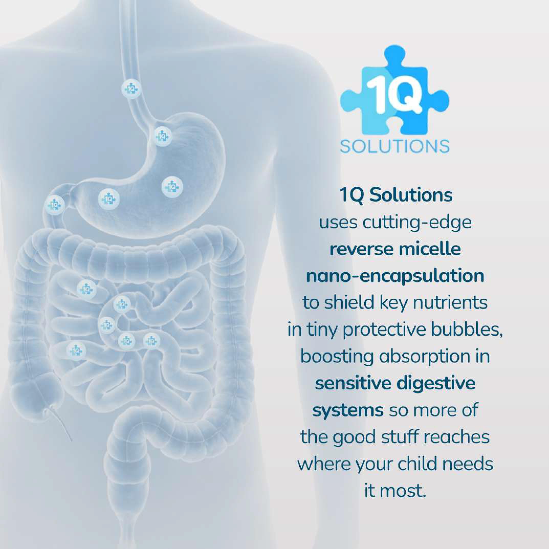 1Q Solutions Focus Liquid Supplement for Kids packaging side view