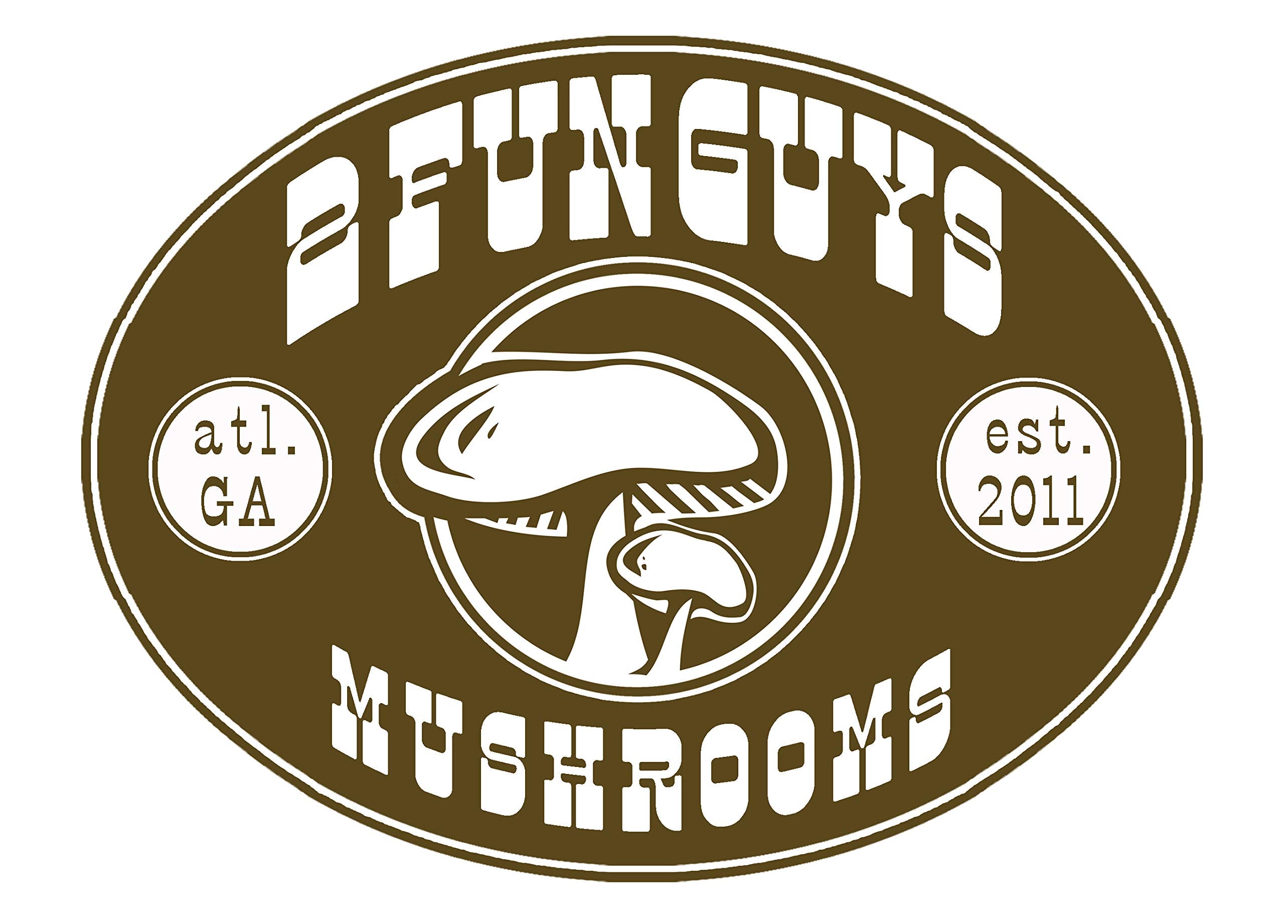 2funguys Hericium Erinaceus Mushroom Grow Kit contents overview