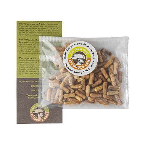 2funguys Hericium Erinaceus Mushroom Grow Kit packaging front view