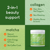 360 Nutrition Collagen Supplement 227g powder scoop