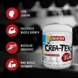 5% Nutrition CreaTEN Creatine Blend 290g scoop
