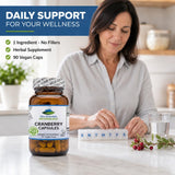 90 count Pure Mountain Botanicals Cranberry Extract Capsules displayed