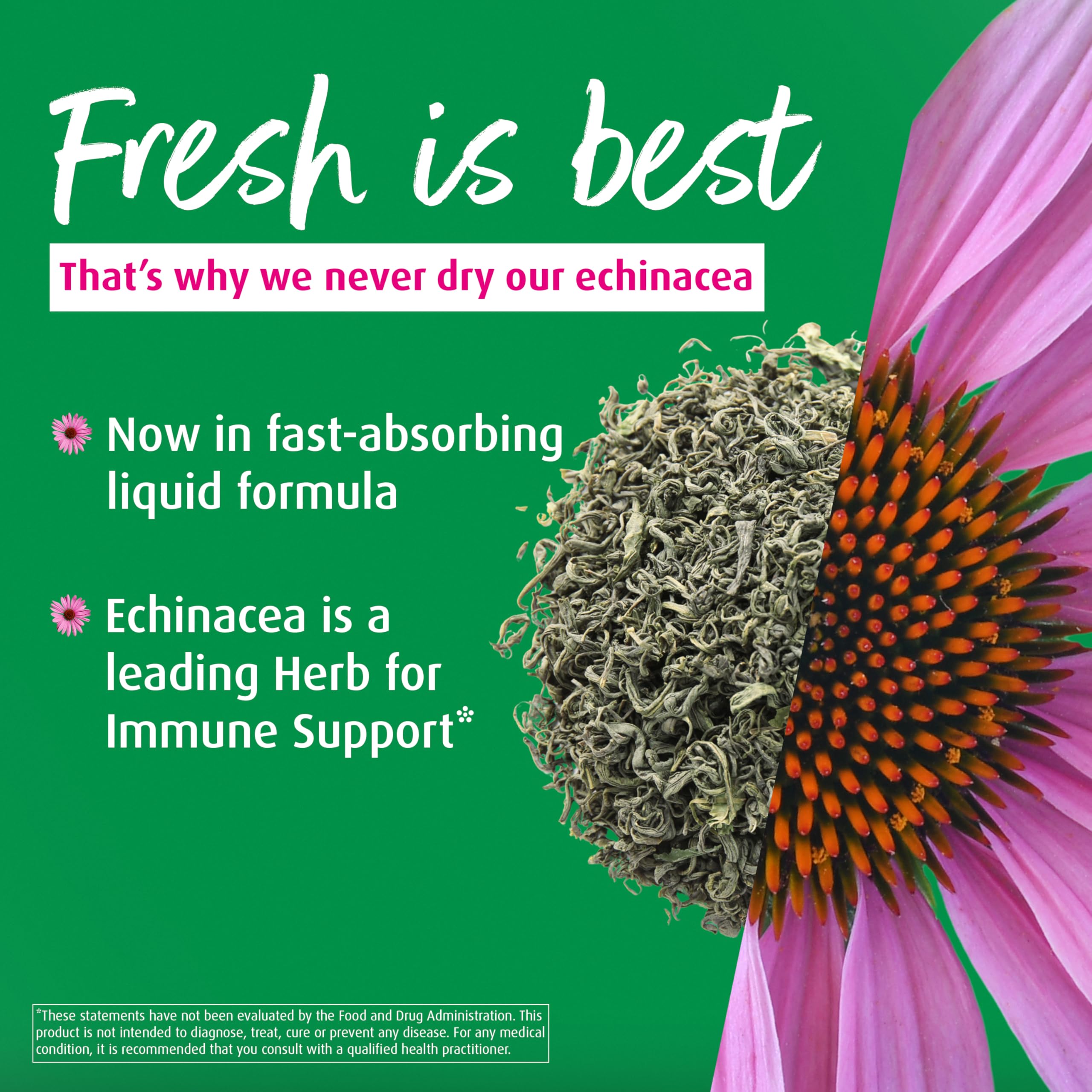 A.Vogel Echinacea Purpurea Liquid Drops 45g bottle with dropper