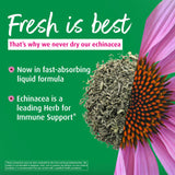 A.Vogel Echinacea Purpurea Liquid Drops 45g bottle with dropper