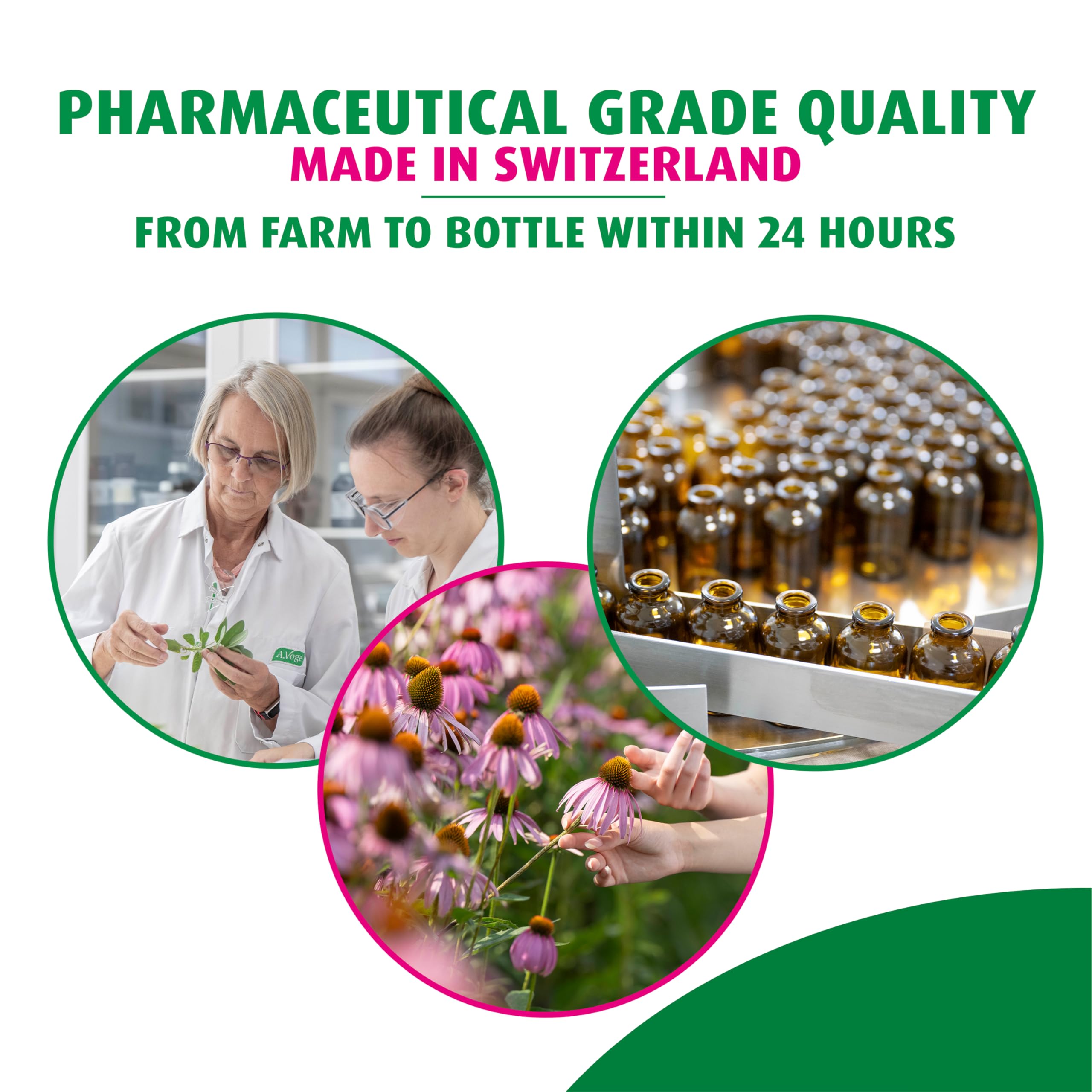 A.Vogel Echinacea Purpurea Liquid Drops 45g with fresh Echinacea