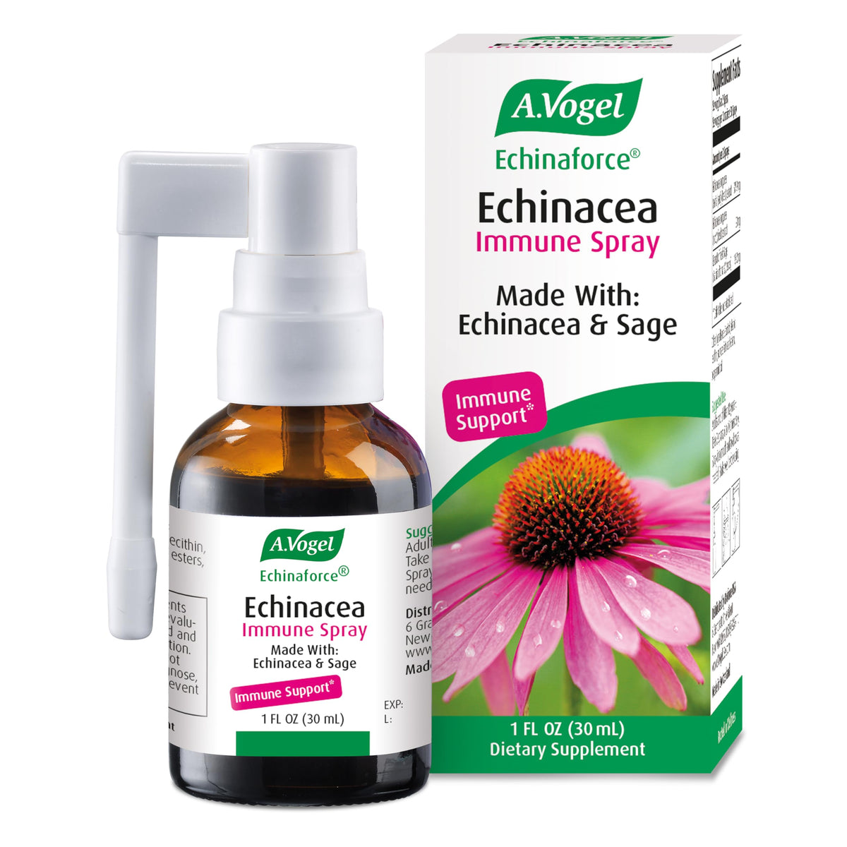 A.Vogel Echinacea Spray 1 fl oz front view with packaging