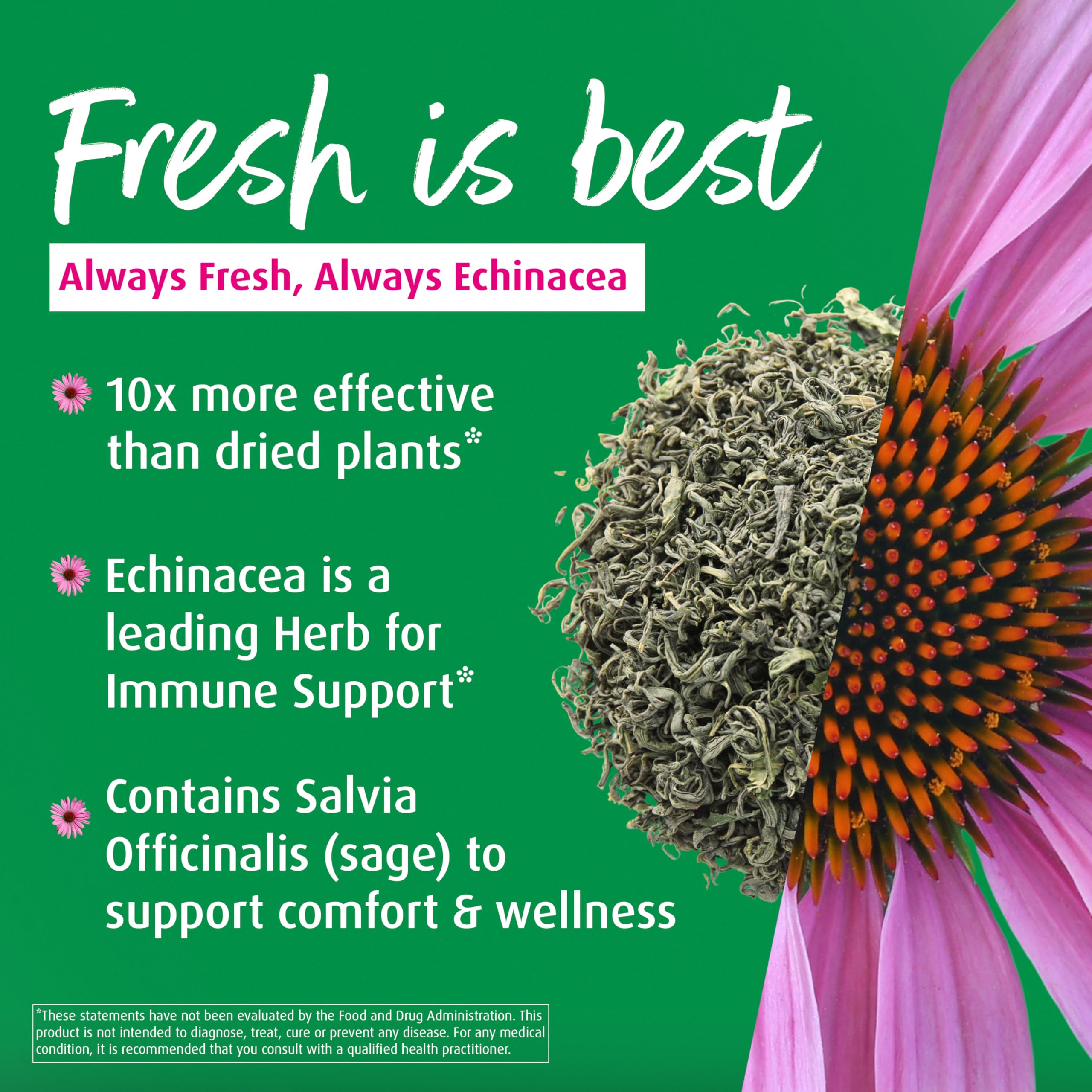 A.Vogel Echinacea Spray nozzle close-up