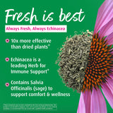A.Vogel Echinacea Spray nozzle close-up