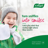 A.Vogel Echinaforce Junior Chewable Tablets with orange flavour description
