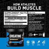 ABE Creatine Monohydrate packaging with scoop