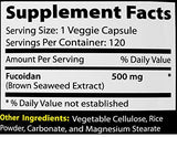 Absonutrix Fucoidan Pure Brown Seaweed Extract packaging details