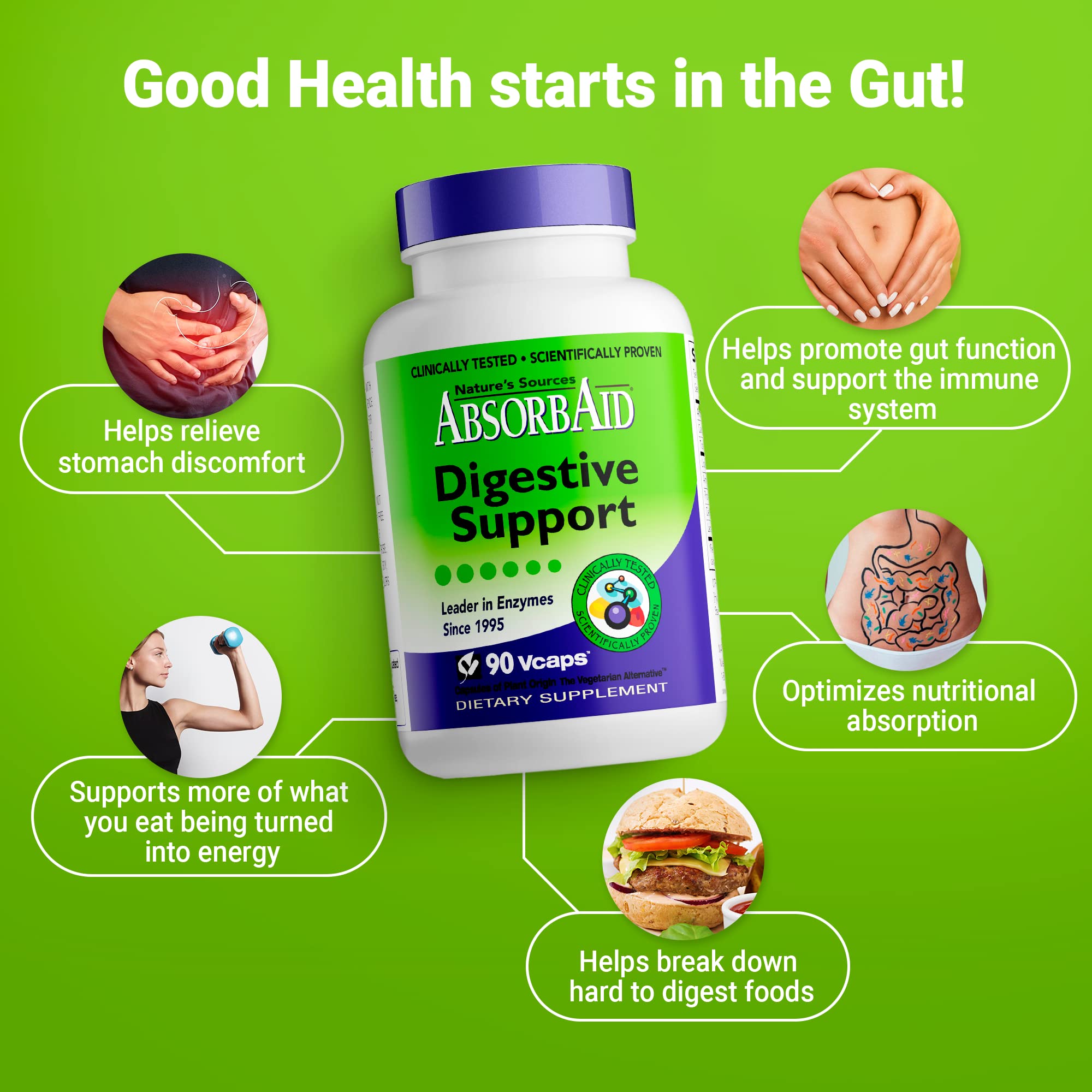 AbsorbAid Multi-Enzyme Supplement 91g ingredients list
