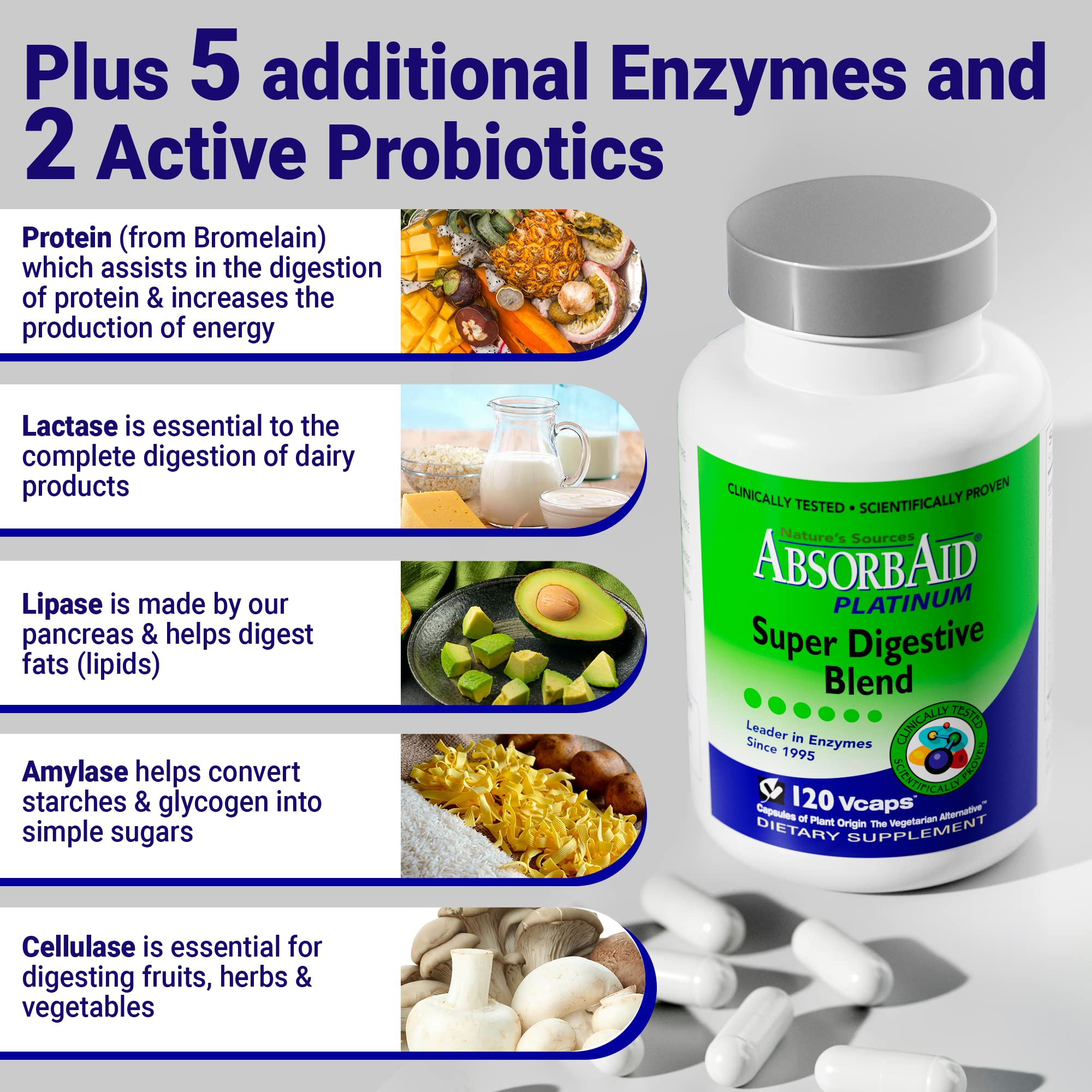AbsorbAid Multi-Enzymes Platinum Formula 100g packaging