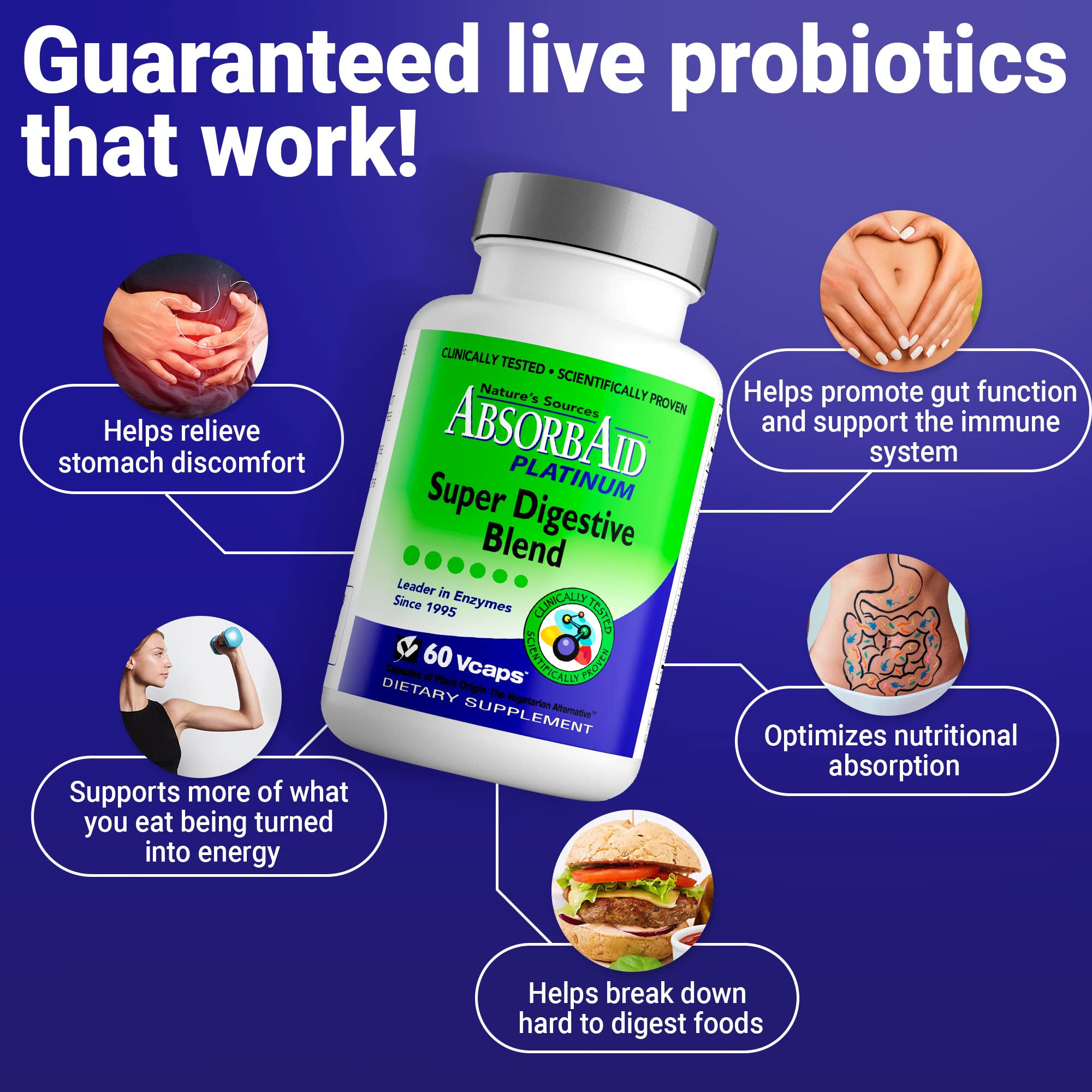 AbsorbAid Multi-Enzymes Supplement nutritional information