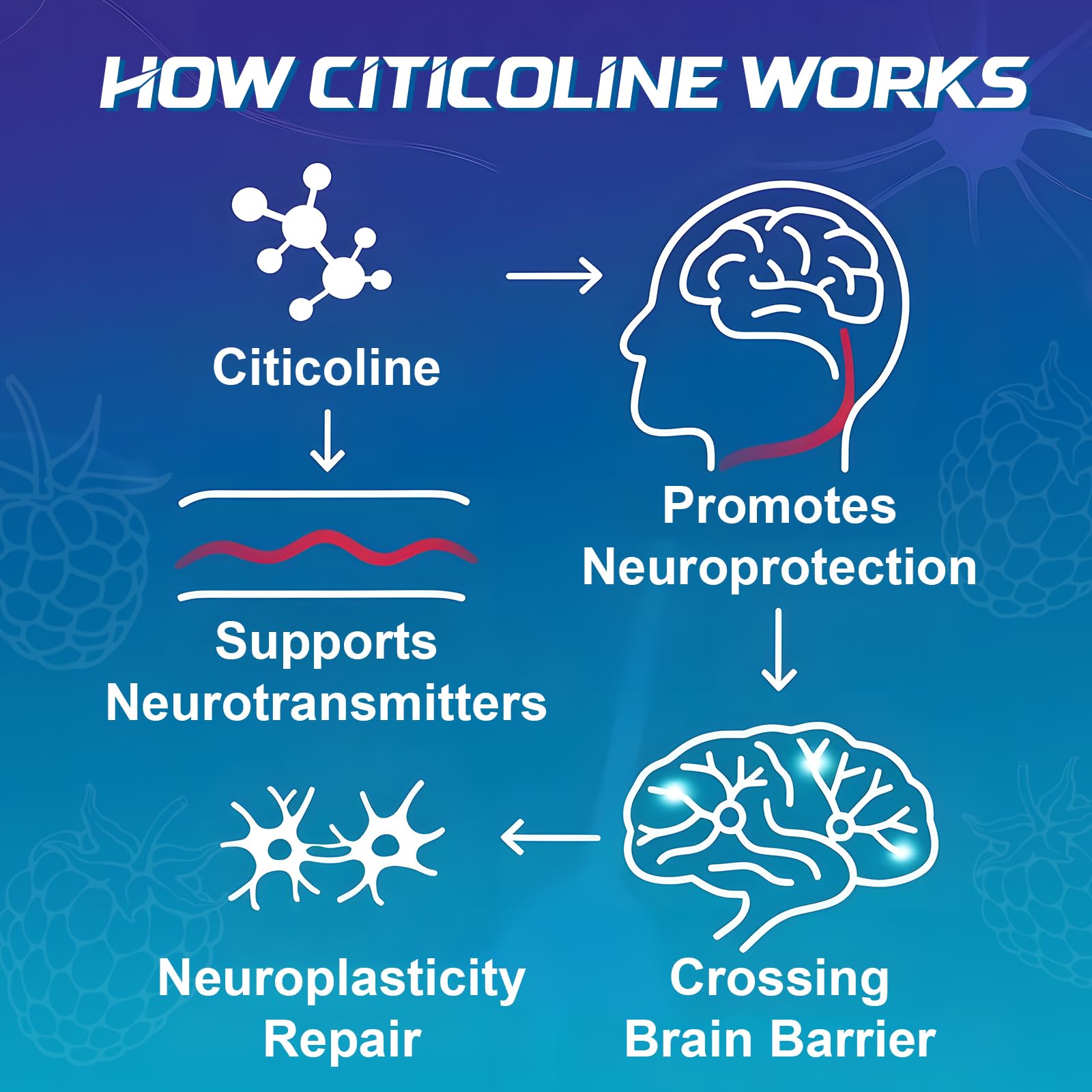 ABYSSUS CDP-Choline Gummies ingredients label