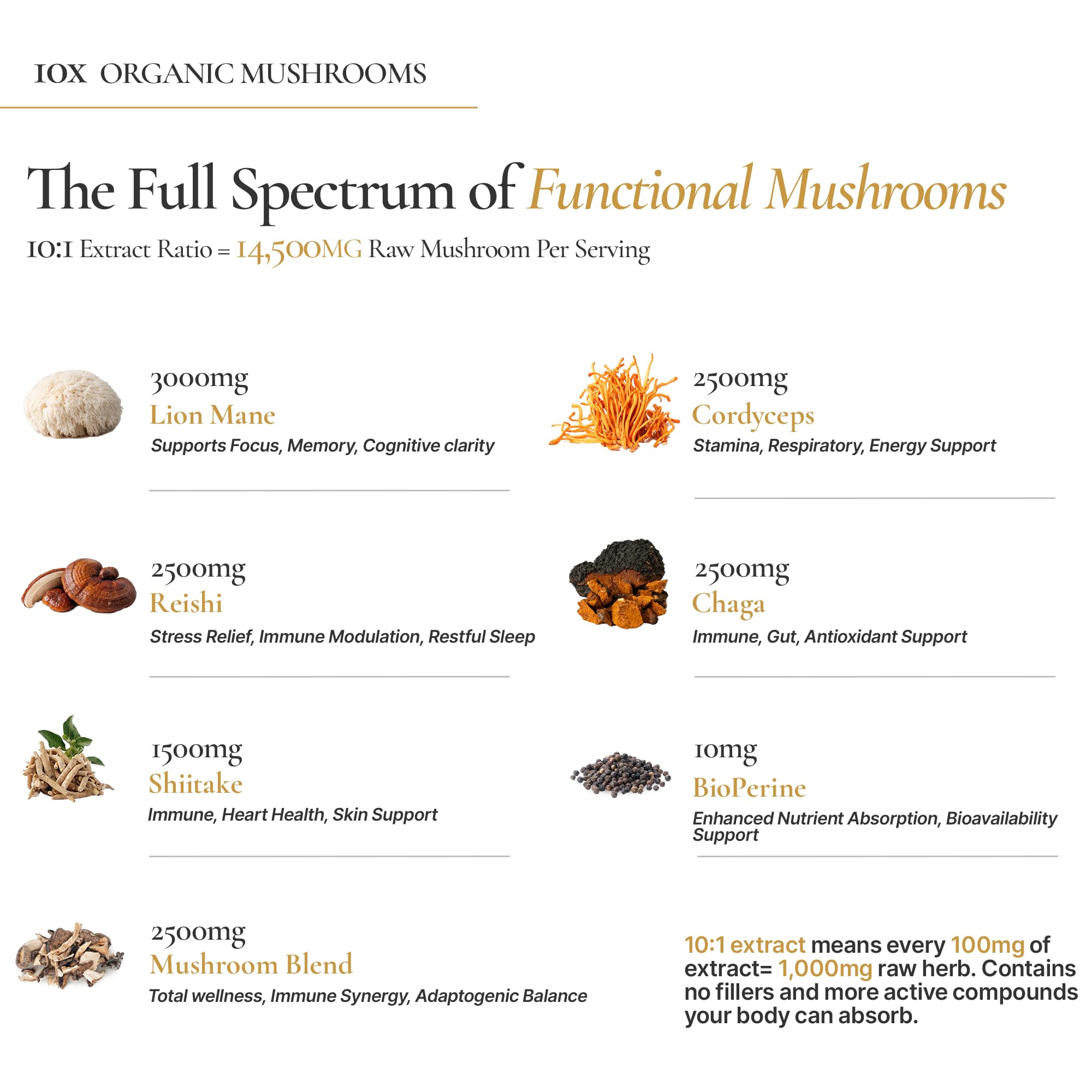 ACEWORKZ NeuroRoot 10-Mushroom Blend Supplement bottle side view