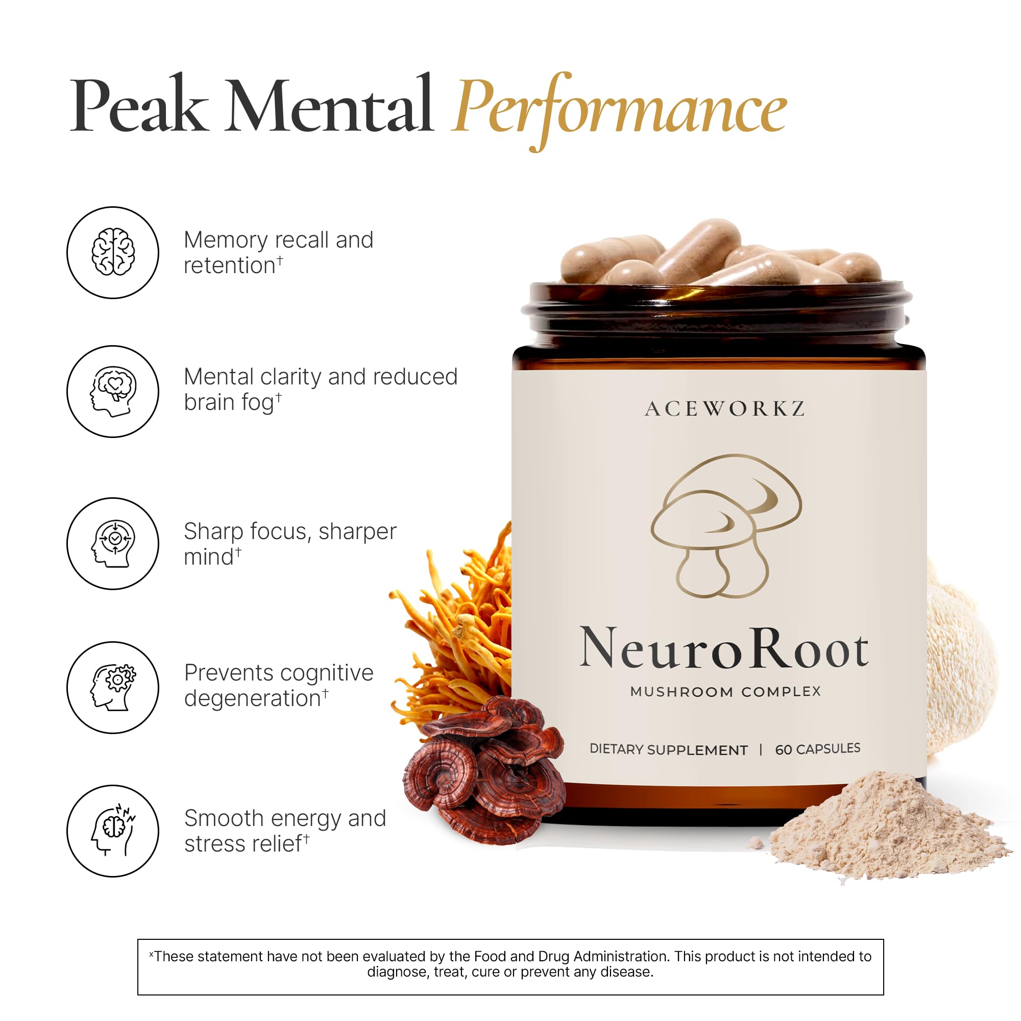 ACEWORKZ NeuroRoot 10-Mushroom Blend Supplement capsules close-up