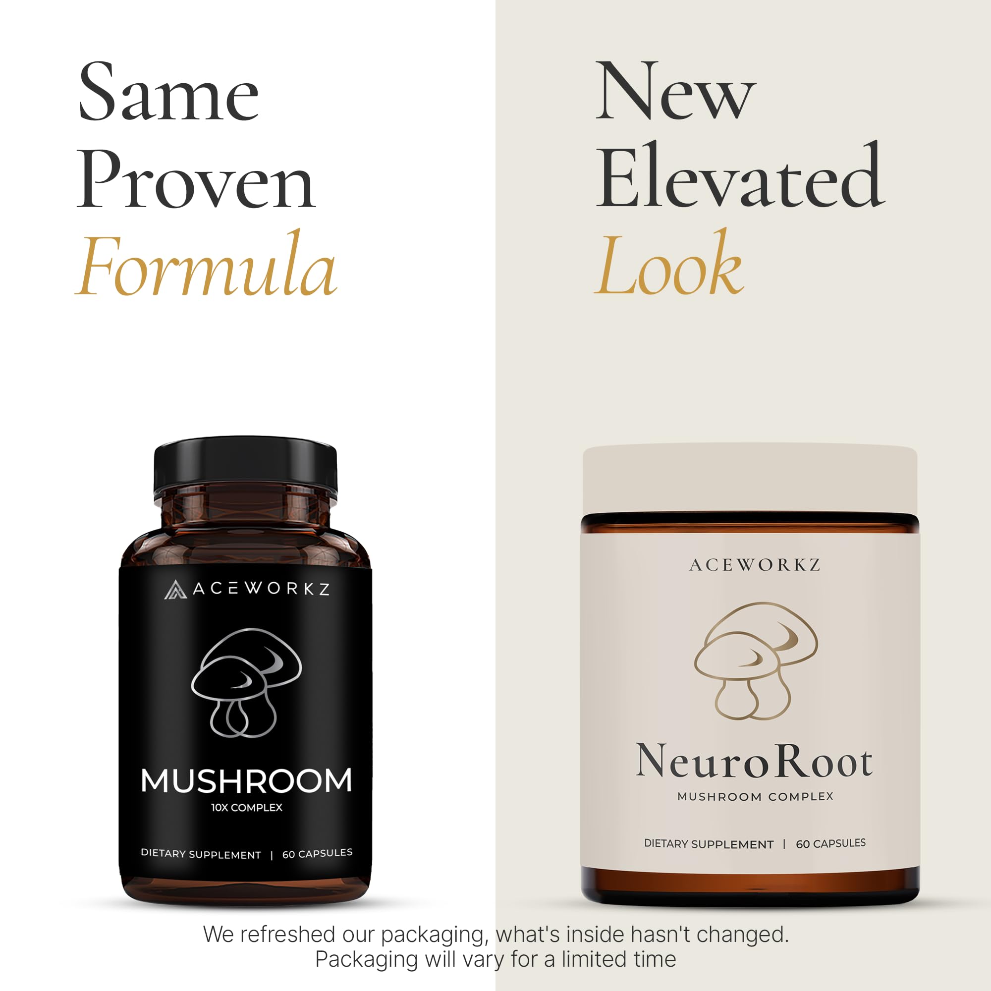 ACEWORKZ NeuroRoot 10-Mushroom Blend Supplement ingredients list