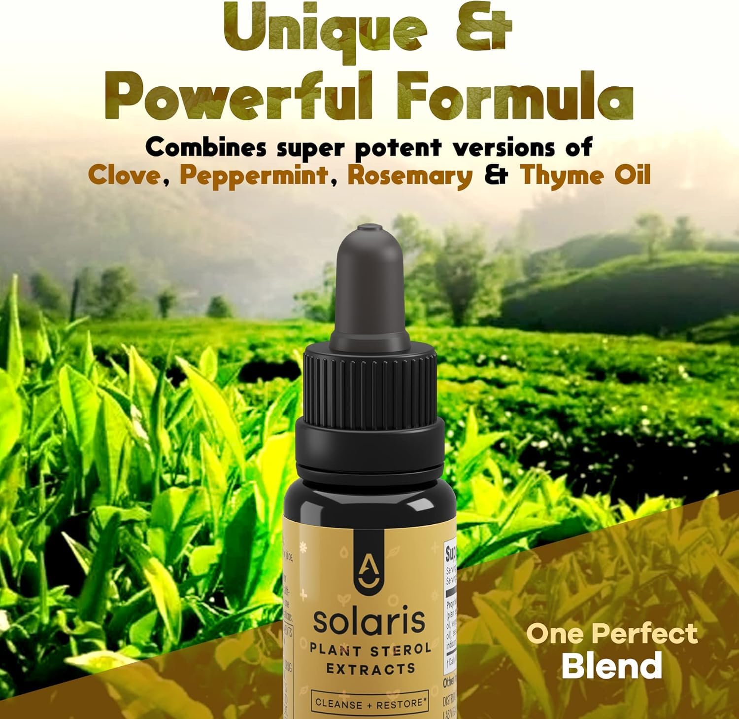 ACTIVATION Aromatic Essential Oil Blend bottle with essential oils