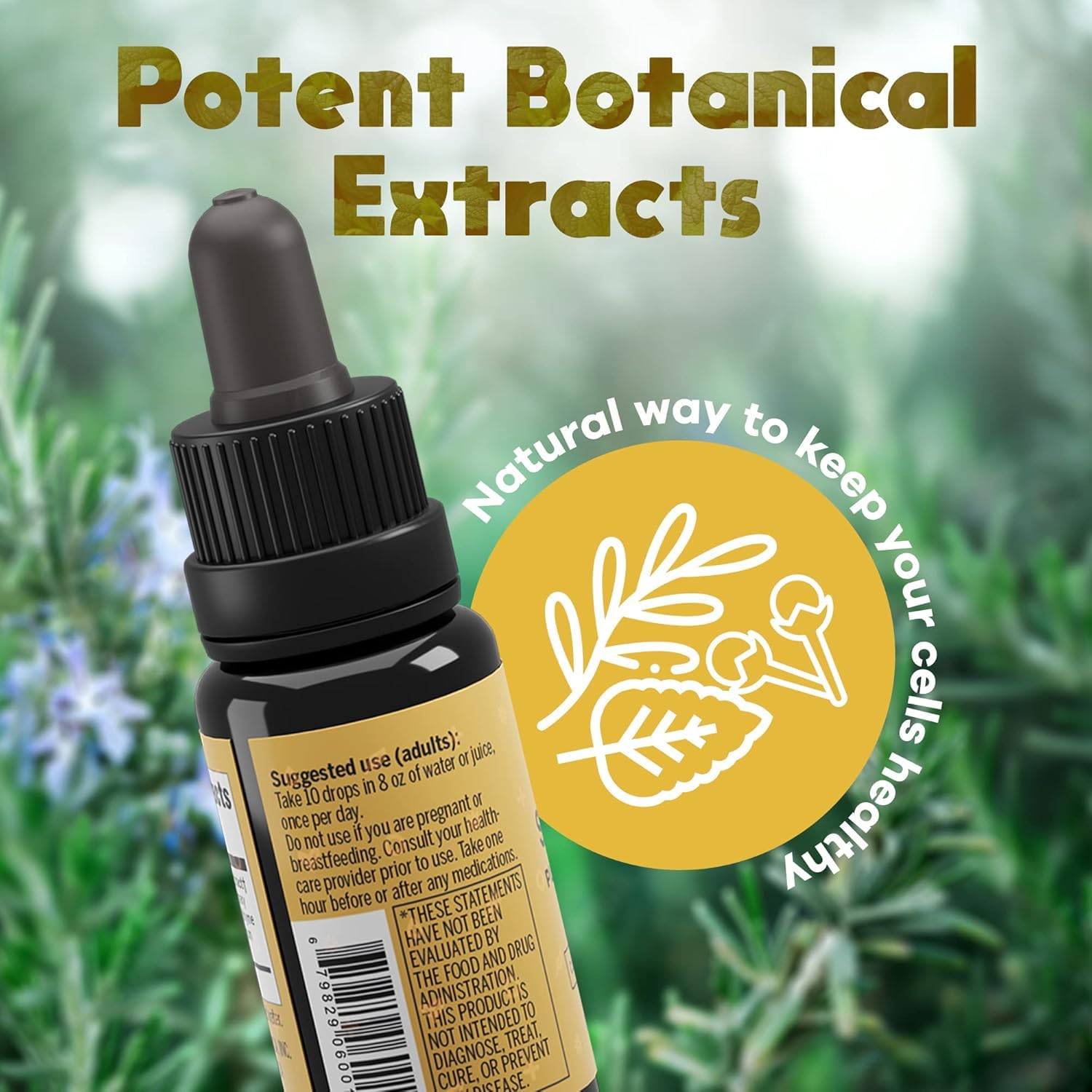 ACTIVATION Aromatic Essential Oil Blend ingredients close-up