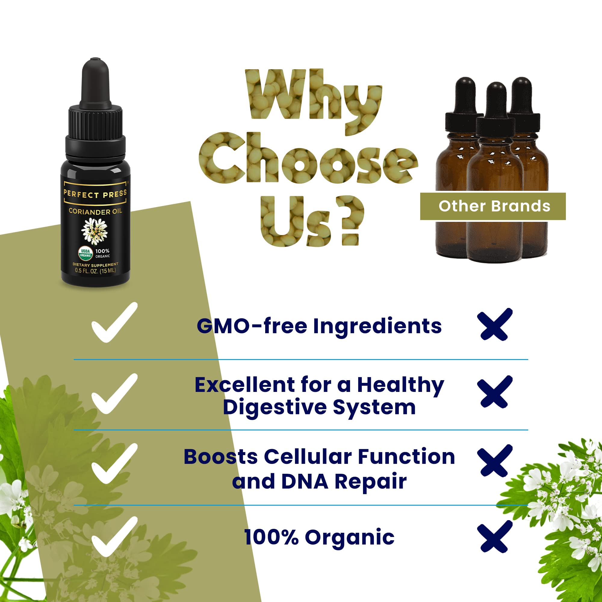 ACTIVATION Coriander Seed Oil 82g in a personal care routine