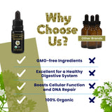 ACTIVATION Coriander Seed Oil 82g in a personal care routine