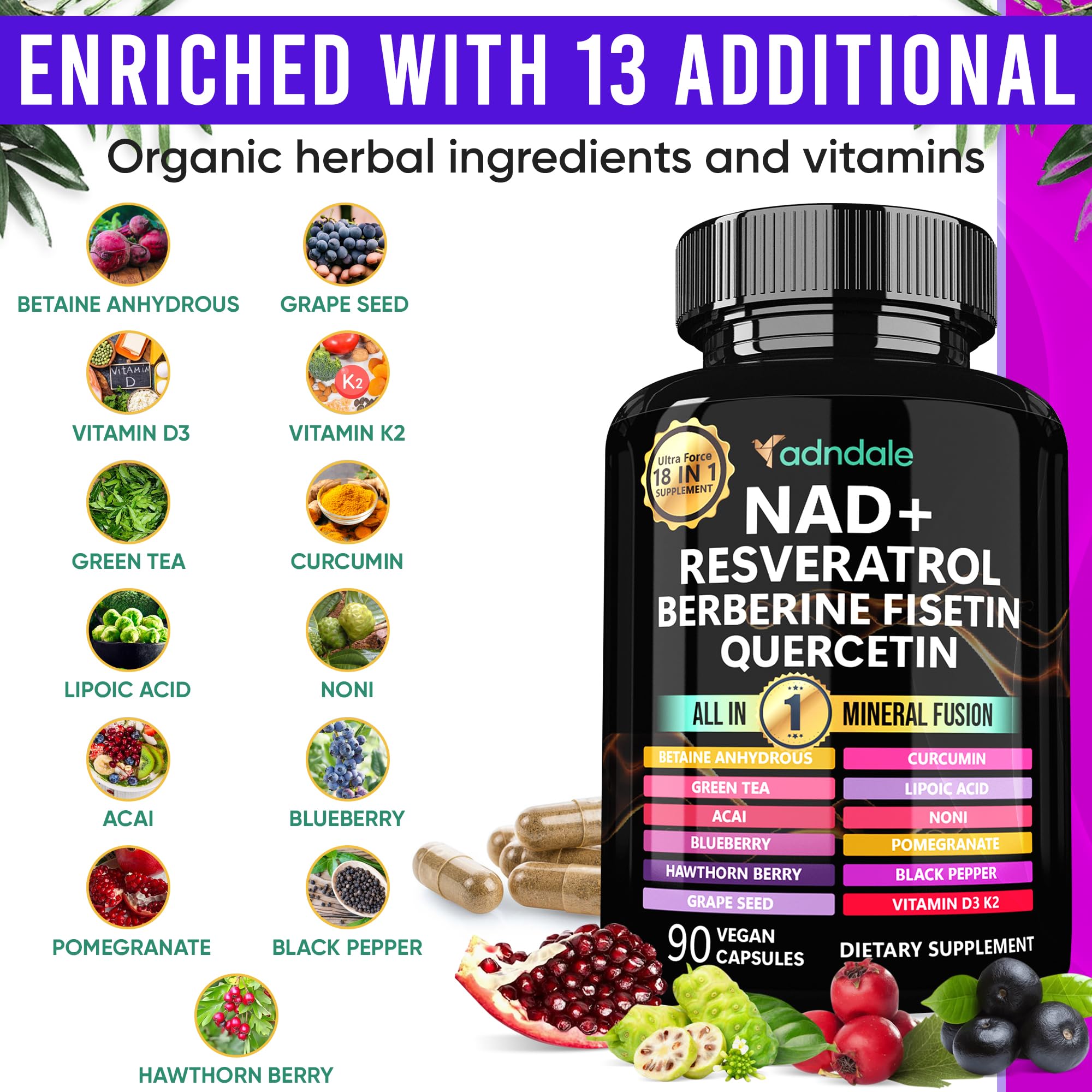 Adndale NAD Resveratrol Berberine Fusion 77g supplement back view