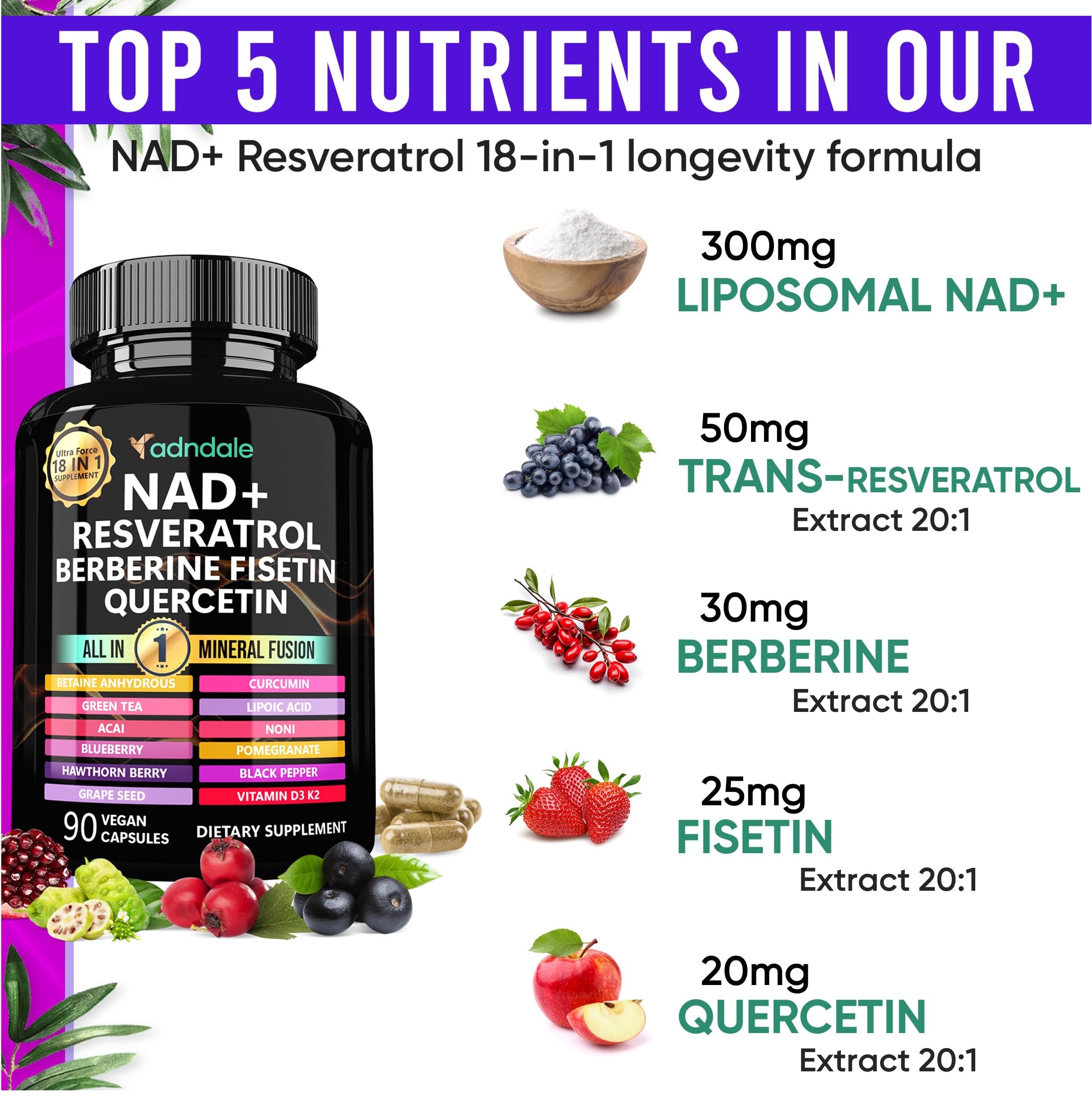 Adndale NAD Resveratrol Berberine Fusion 77g supplement side view