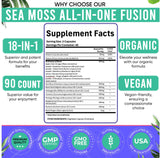 Adndale Sea Moss Capsules 18-in-1 Fusion bottle with background