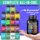 Adndale Sea Moss Capsules 18-in-1 Fusion on a wooden table
