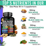Adndale Sea Moss Capsules 90 count side view