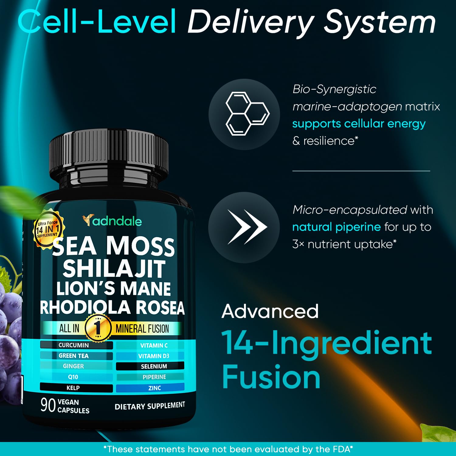 Adndale Sea Moss Capsules back view with ingredient list